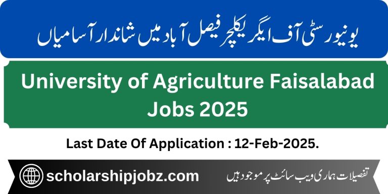 Agriculture University Faisalabad Jobs 2025