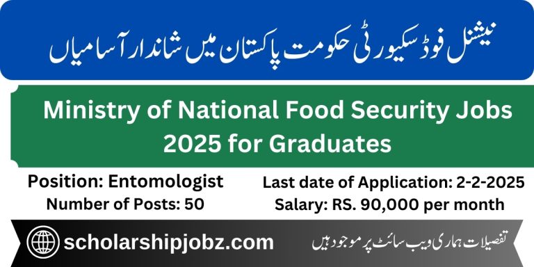 Ministry of National Food Security Jobs 2025