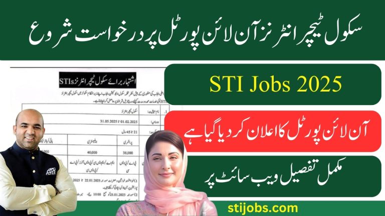 STI Jobs 2025 Online Application Portal schools.punjab.gov.pk