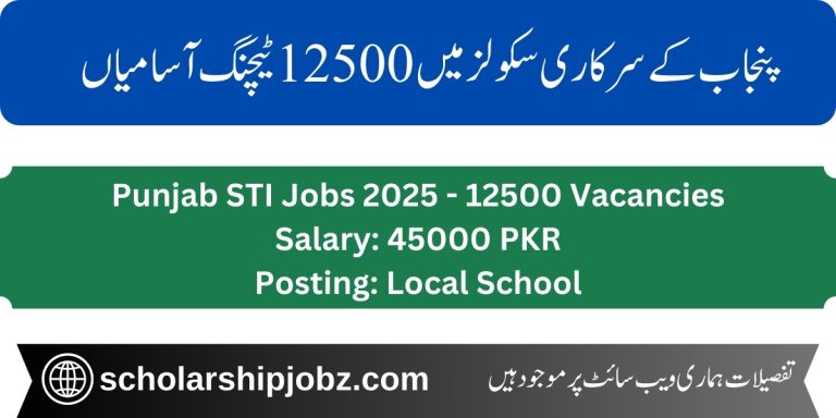 STI Jobs 2025 School Teacher Interns 12500 Vacancies