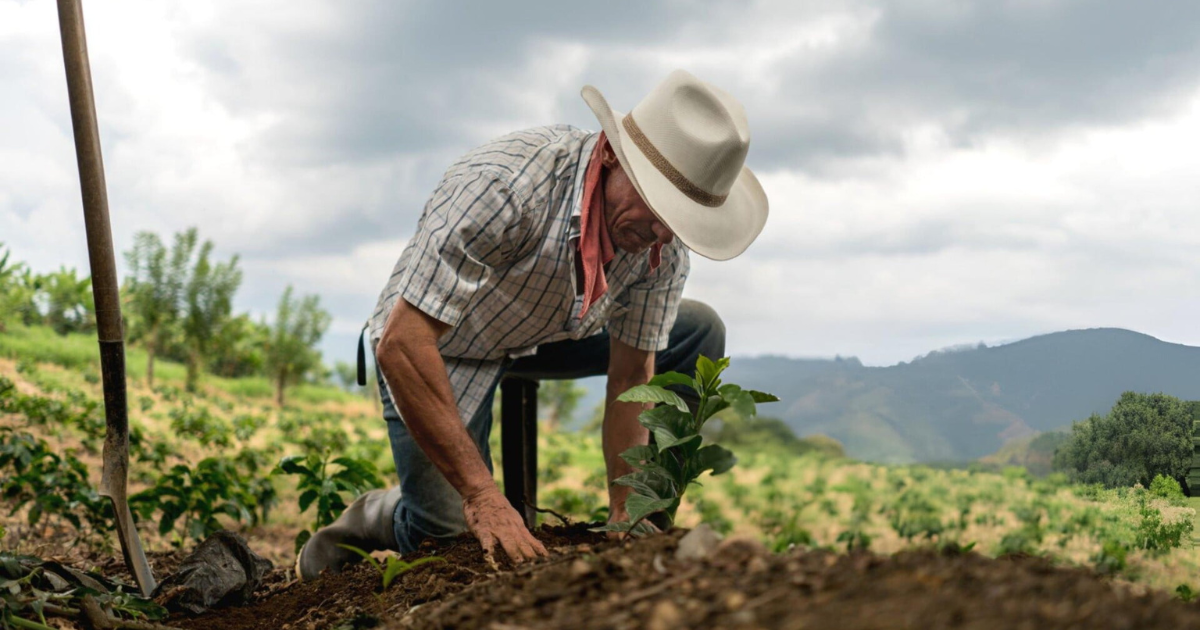 Farm Hands and Laborers Job in Poland