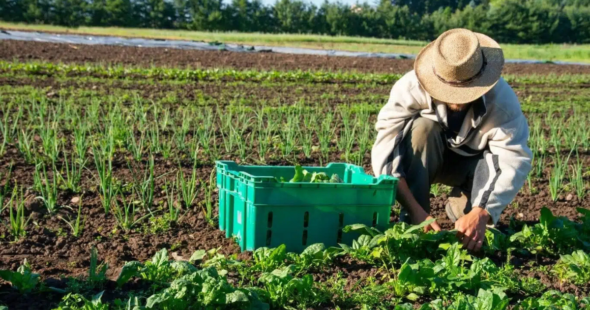 Farm Jobs in Austria