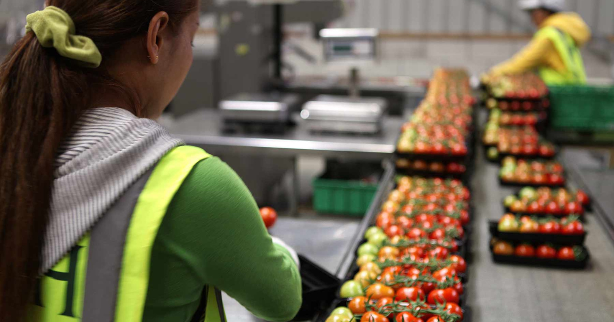 Food packing jobs in New Zealand